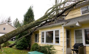 Storm Damage Repair by Paramount Construction 